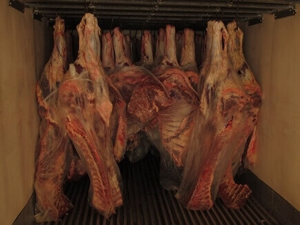 GDF faz apreensão de carne clandestina