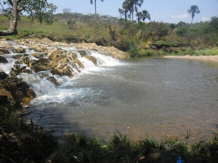 Parque ecológico de Ceilândia urgente