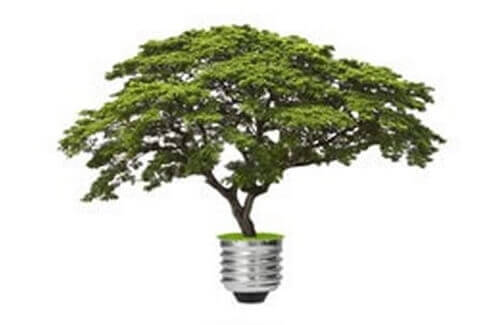 Crianças de Ceilândia contribuem com a Rio+20