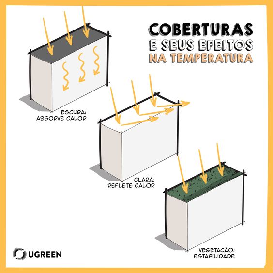 EMPREENDEDORES DE CEILÃ‚NDIA BUSCAM NOVAS OPORTUNIDADES DE NEGÃ“CIOS E CRÃ‰DITO